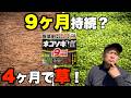【除草剤】これが真実。ネコソギ9ヶ月は本当か?