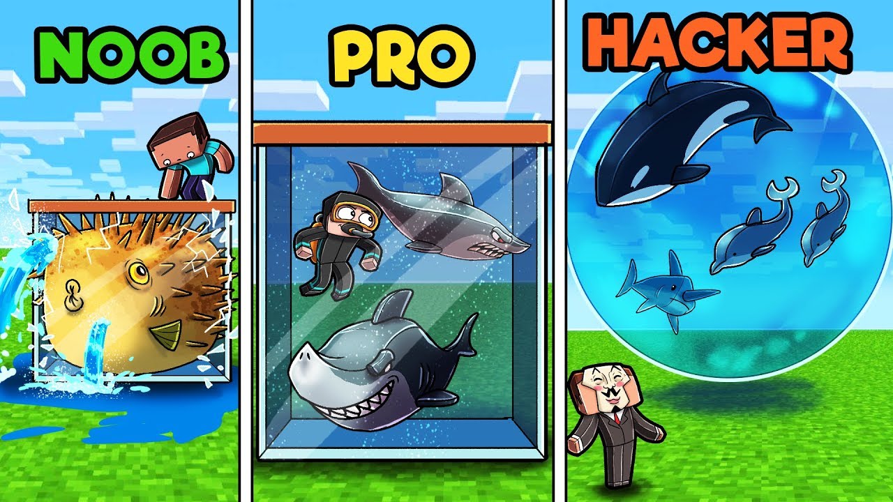 Minecraft - FISH TANK! (NOOB vs PRO vs HACKER) - YouTube