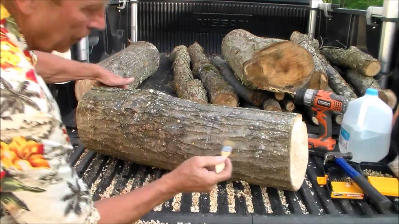 How to Grow Shiitake Mushrooms