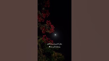 ويدهشك الله برحمته/ القارئ أحمد خضر الطرابلسي.