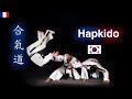 Quest ce que l hapkido 