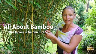 How to Grow, Maintain and Control Bamboo | Our Japanese Garden Escape