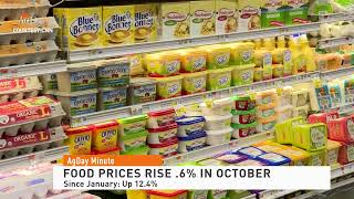 AgDay Minute 11/11/22