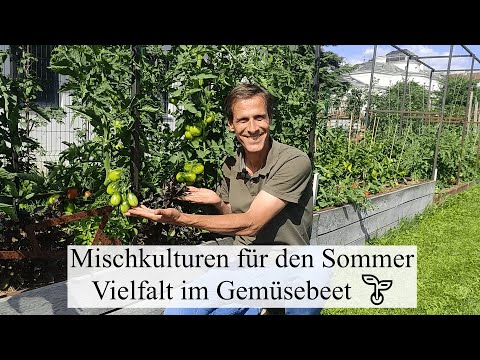 Video: Welches Gemüse kann in einem Hochbeet zusammenwachsen?