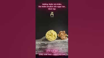 🎁 QUÀ LƯU NIỆM ARTÉ – NẾN, ĐÁ THƠM & KÉN TẰM CAO CẤP