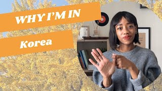 Why Am I in Korea? | MILLICENT