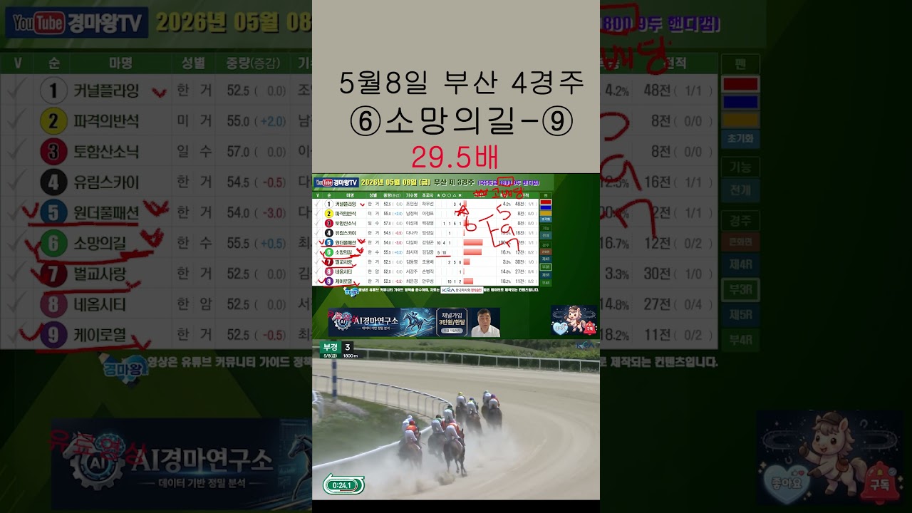 5월8일 금요일 부산경마 29 6배 적중#금요경마#AI경마연구소 #금요예상 #경마예상 #경마분석 #경마방송 #제주경마 #부산경마