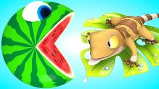 Chanson de Pacman gecko couleurs famille | Comptines Et Chansons | À Bébé Chanson