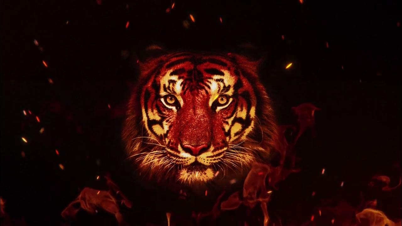 Dust Breaks - AGNI (OFFICIAL AUDIO) Dust Breaks - AGNI (OFFICIAL AUDIO)