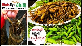 ഇനി കാന്താരി മുളക് പാഴാകില്ല Salted Birds Eye Chilli / Preserved കാന്താരിമുളക് ഉപ്പിലിട്ടത്