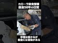 カローラ鈑金修理 鈑金58年の日常!　＃カローラ　＃鈑金修理　＃職人