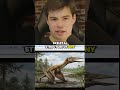 Could the 4‑m Alenka pterosaur hunt young dinosaurs? The azhdarchid diet debate