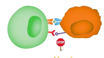 Checkpoint Inhibitors: Taking the Brakes Off the Immune System