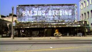 Lance Mountain Bones Brigade Video Show