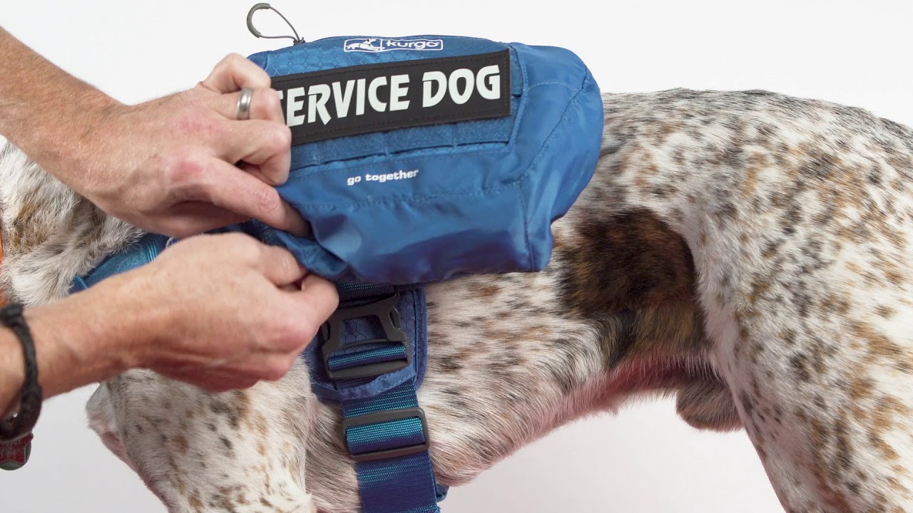 Kurgo RSG Molle Compatible Dog Harness