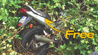 I took this FREE MOTORBIKE out of the weeds : Will it START?