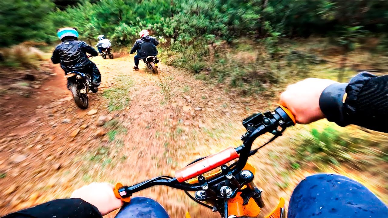 LEVEI OS MINI HATERS PARA A TRILHA