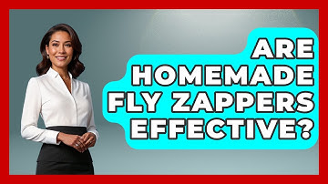 Are Homemade Fly Zappers Effective? - Insects and Invaders