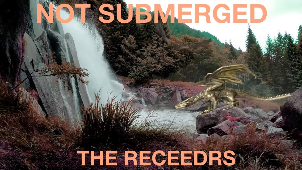Not Submerged - The Receedrs