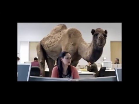 Funny insurance commercial ads Compilation part1