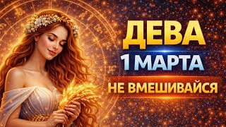 Virgo: An important decision best avoided on March 1st. Virgo's horoscope for today.