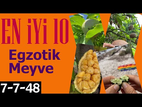 Video: En Popüler 10 Egzotik Meyve