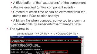 SEBLCRM Siebel CRM - Oracle Siebel Process Crash on Windows