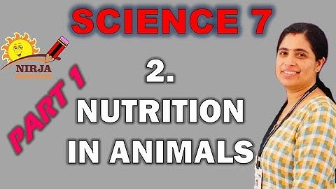 class 7 science - chapter 2 - part 1 | science | nutrition in animals class 7 | class 7 science ch 2