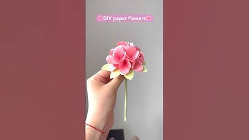 DIY paper flowers🌸