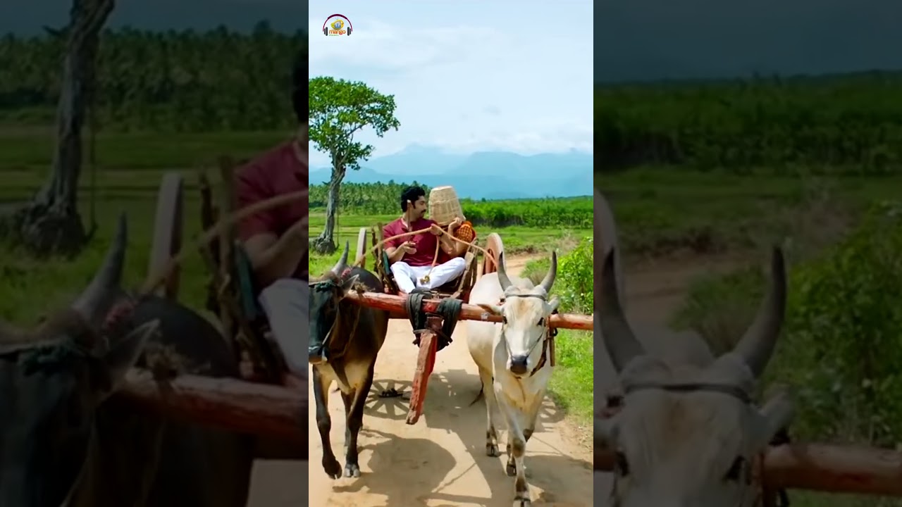 Sampaddhoy Nanne Song | Seven Movie | Regina | 