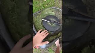 flymo hovervac 260 Review kind of Just a quick one Hope you enjoy! @CoandRoBff