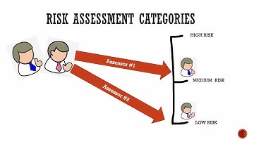 Forensic Risk Assessment - Sarah de Bock