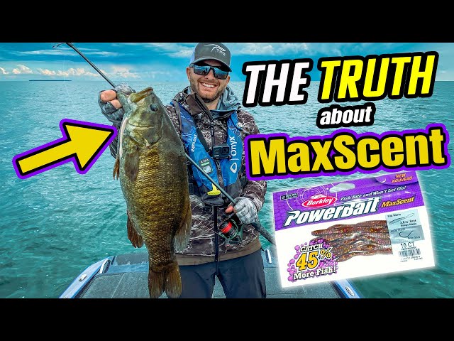 The Truth about MaxScent (and Scented Bass Lures) 