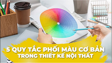 5 QUY TẮC PHỐI MÀU TRONG THIẾT KẾ NỘI THẤT CẦN BIẾT | VANTAYDECOR