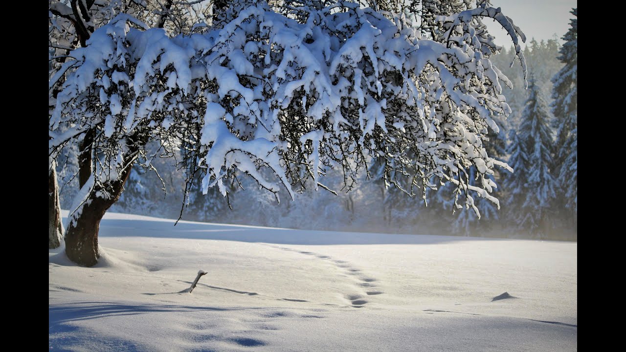 Deep Sleep Music for Instant Relaxation