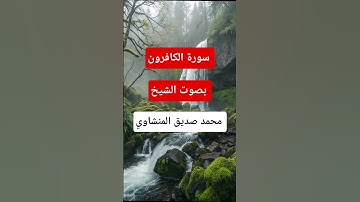 #سورة الكافرون بصوت الشيخ محمد صديق المنشاوي