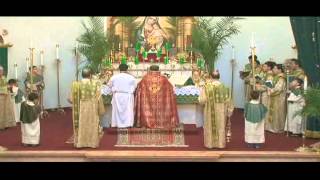 Palm Sunday - St. Mary Armenian Apostolic Church