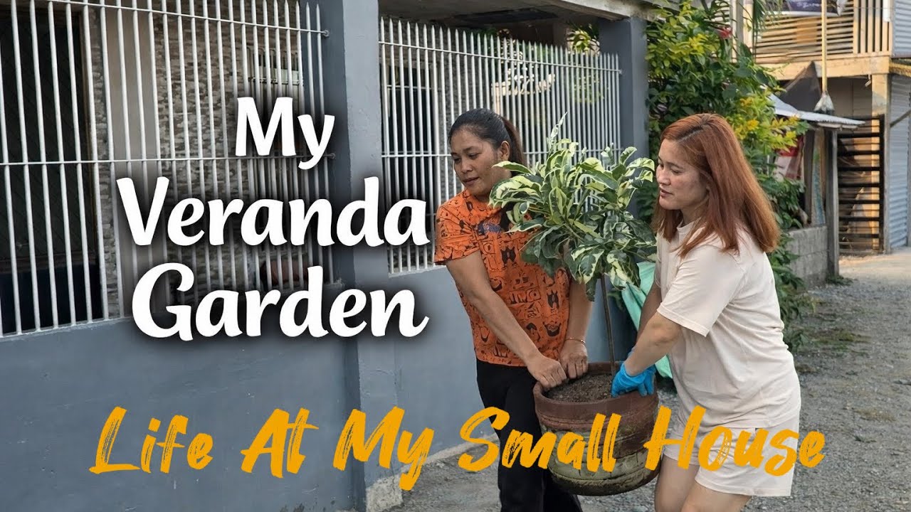 Organizing & Cleaning Routine | Visiting My Tomato Plants | Simple Life in the Countryside