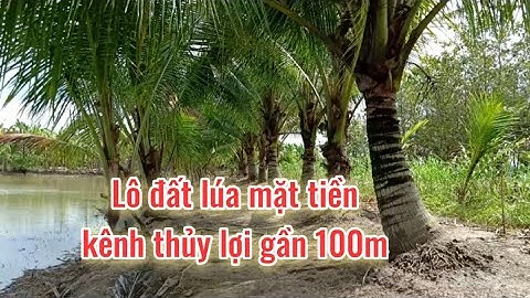 Bán Lô Đất Lúa Mặt Tiền Khoảng 100m, Giá 300 Triệu/1000m2 TL, DT 9700m2, TP Cần Thơ @nhadatcanthomientay