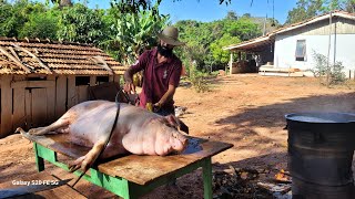 Carneação De Porco Almoço Na Roça Muito Calor Mais Deu Tudo Certo Sítio Tem Fartura