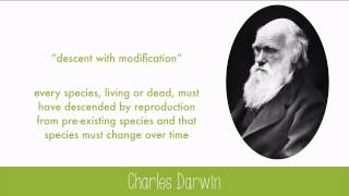 History of Evolutionary Thought