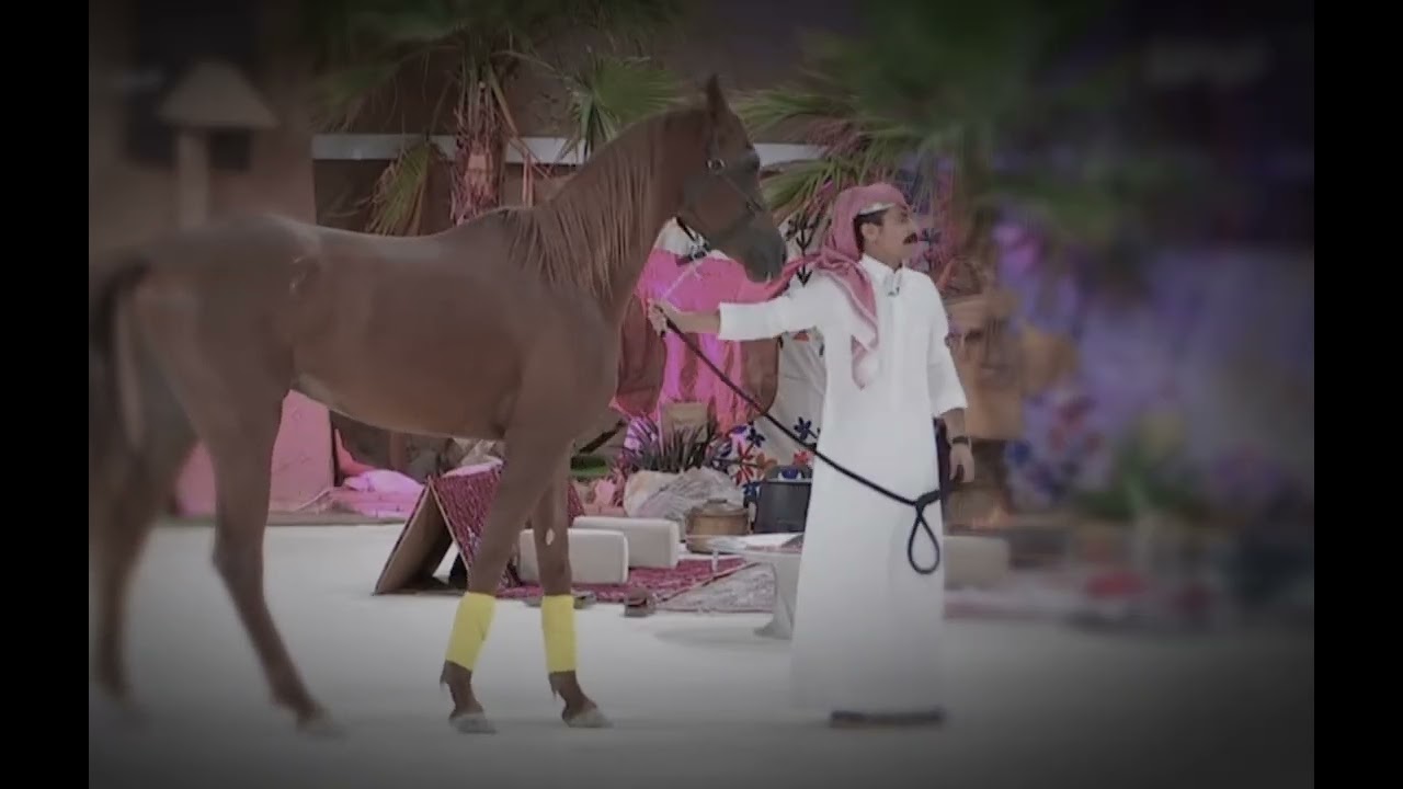 هديه محمد مرجع اليامي وقبيله يام لشيخ عايض القرني #محمد_اليامي #قناة_الواقع