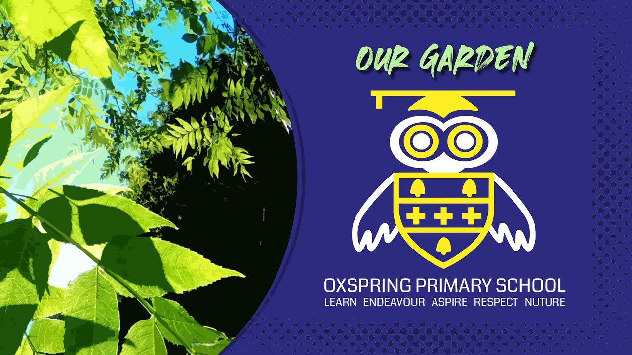 Oxspring Primary School - Our Garden