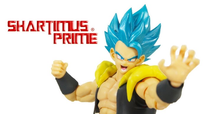 TAMASHII NATIONS - Super Saiyan God Super Saiyan Gogeta, Bandai Figure