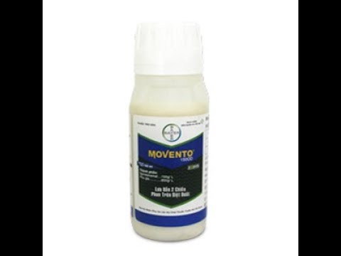 Movento 150OD - thuốc diệt trừ sâu, bọ trĩ, rệp sáp, rầy xanh | Foci