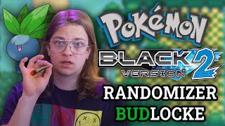 🔴 Pokemon Black 2 Randomizer Nuzlocke but its April 20th... 🔴
