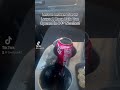 Coca cola got some exploding to do how does an open can of coke exploded while driving