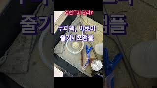 건선두피관리방법 #두피스케일링 #두피케어 #건선두피 #지루성두피염