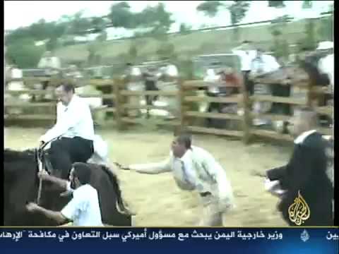 Erdogan horse fall