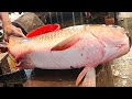Amazing!! Big Rohu Fish Cutting and Chopping By Expert Fish Cutter 2021